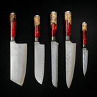 Japanisches Damascus Nakama Shinku 5-teiliges Kochmesser-Set – Präzisionsklingen